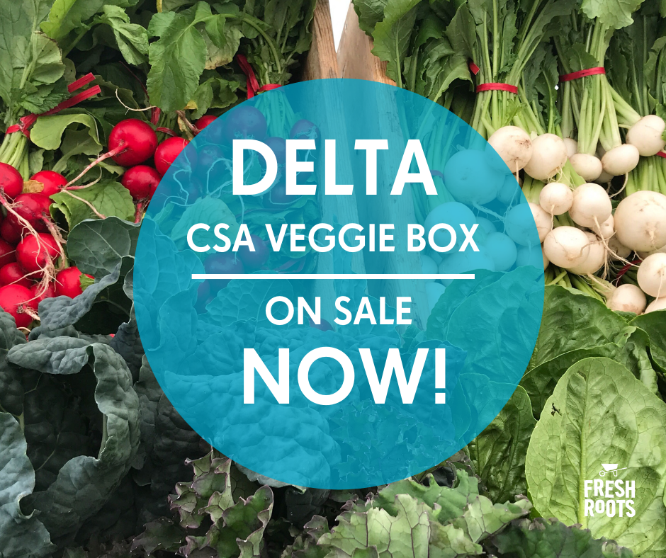 Announcing DELTA Farm Roots CSA Veggie Box brought to you by Fresh