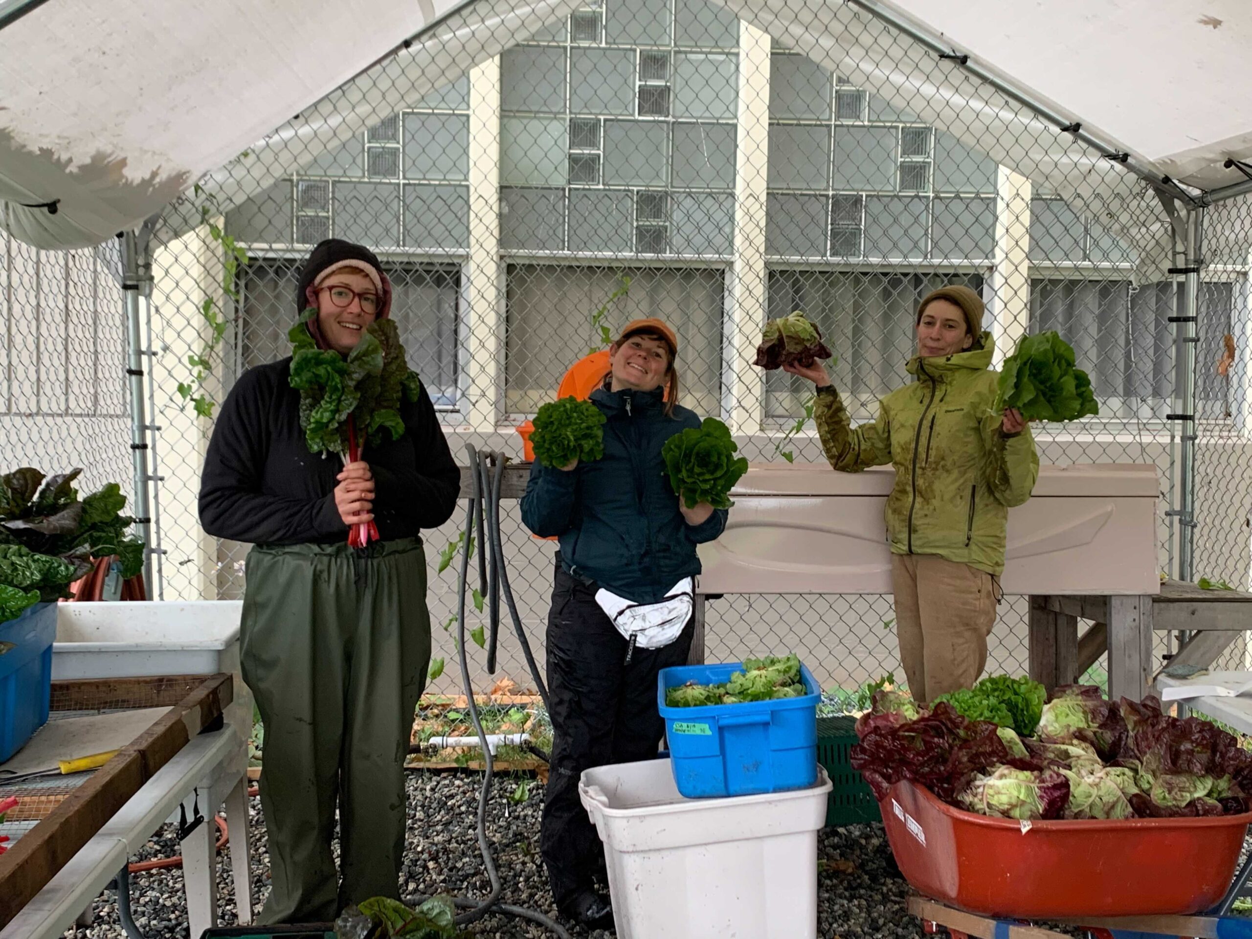 Schoolyard Farms Archives - Fresh Roots