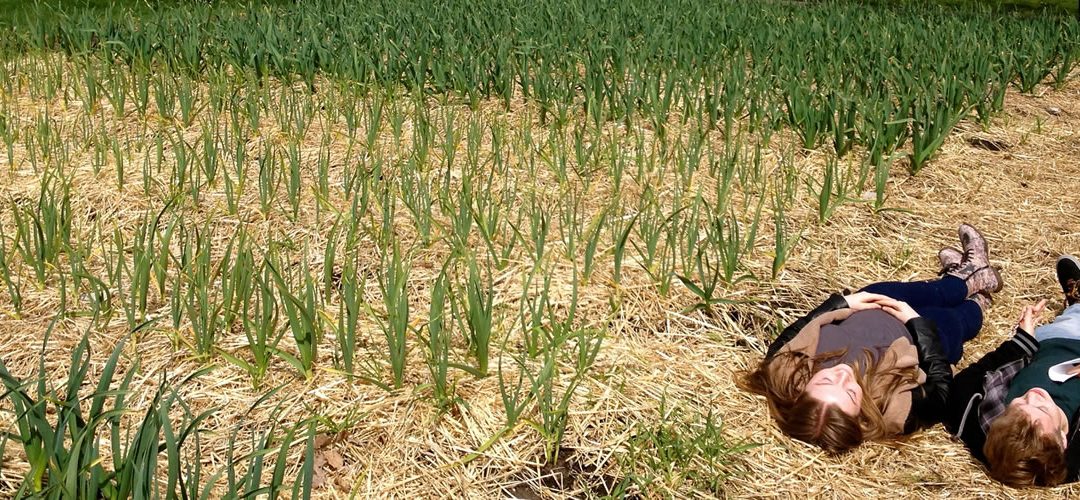 Learn and Connect on the Farm