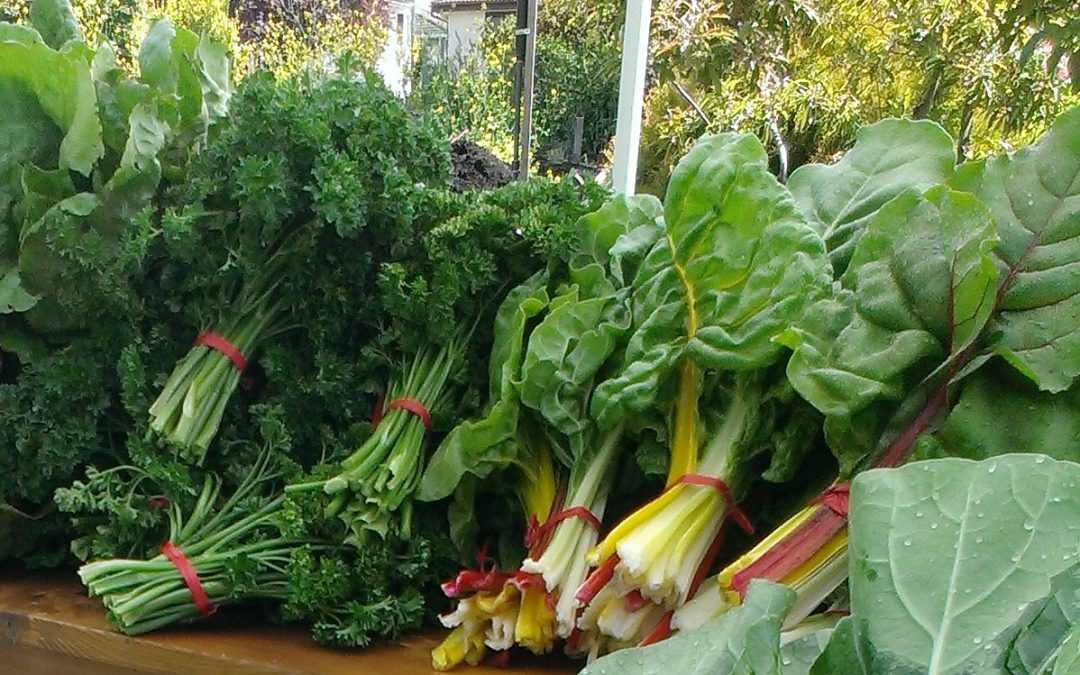 Farmer’s Log – May 27, 2014