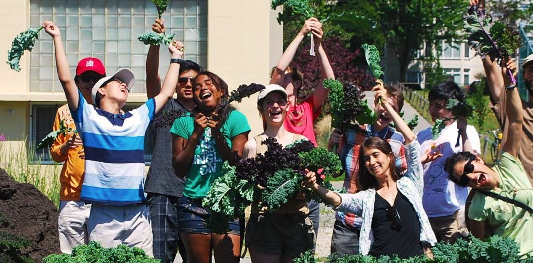 Participate in the SOYL Program