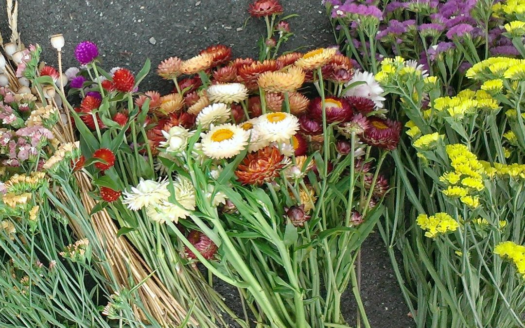 Farmer’s Log – July 8, 2014