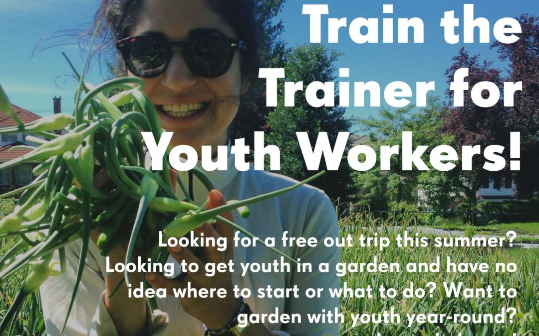 Train the Trainer for Youth Workers!