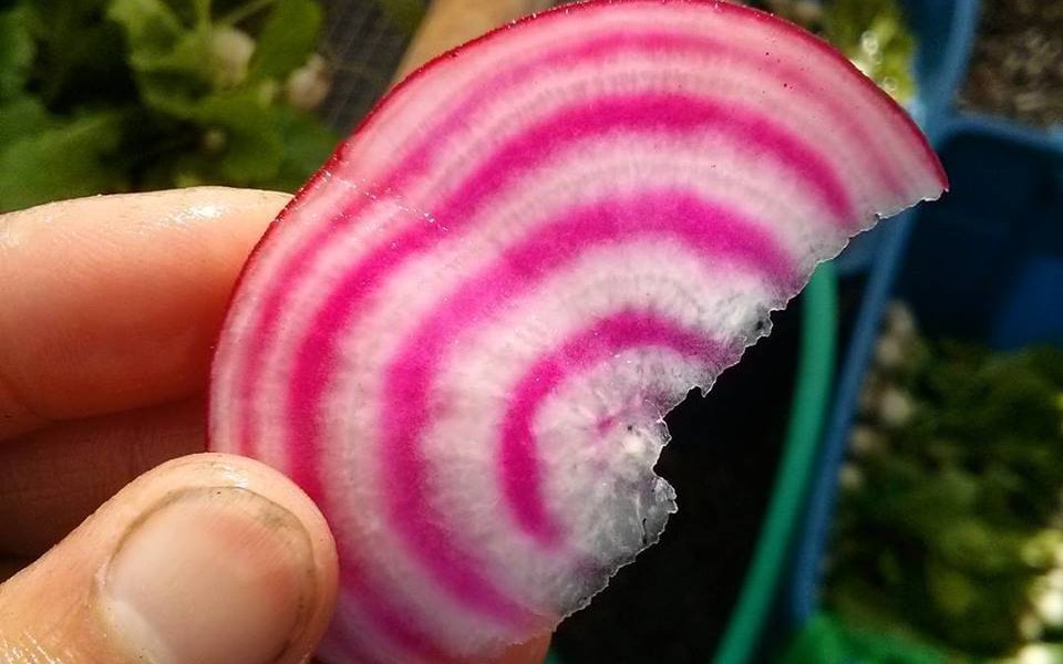 Can’t beat this beet dip!