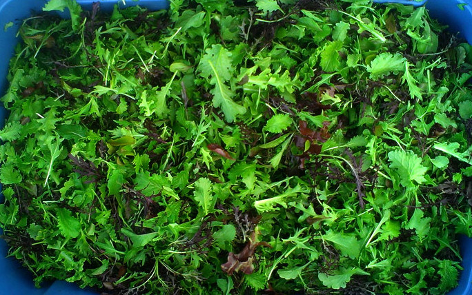 Balsamic Salad Dressing