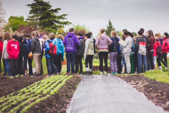 Fresh Roots in Metro