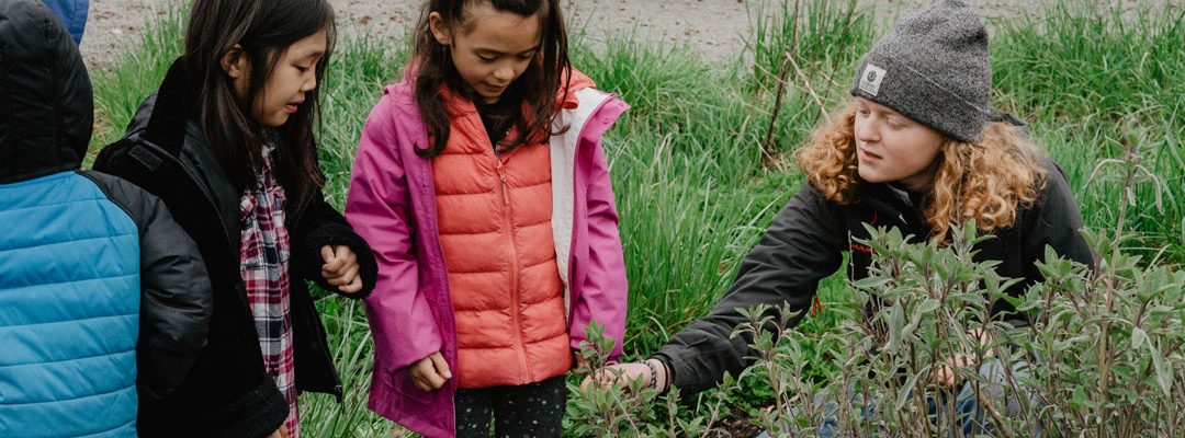 Take Learning Outside This Fall!