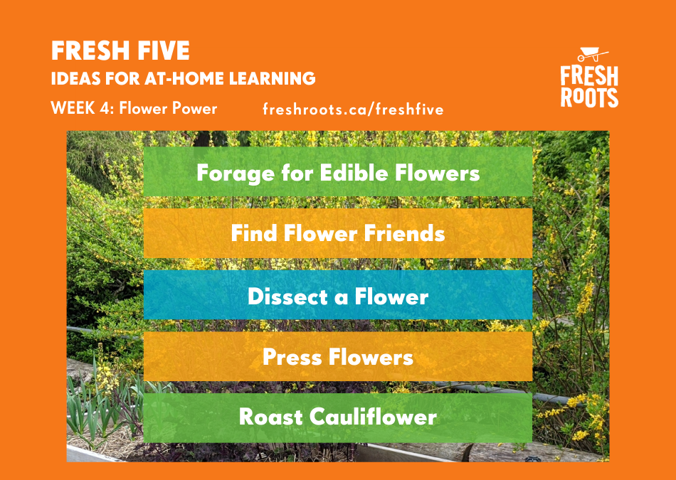 Fresh Five Week 4: Flower Power