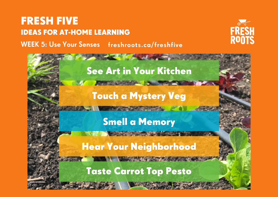 Fresh Five Week 5: Senses