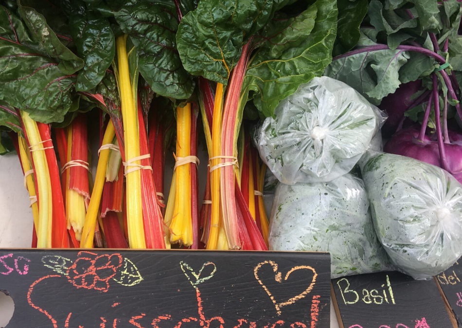 New! Fresh Roots Thursday Pop Up Market in Kwikwetlam (Coquitlam)