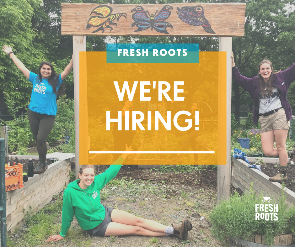 Real Roots Jobs Fresh Roots is Hiring for the 2021 Season - FreshRoots