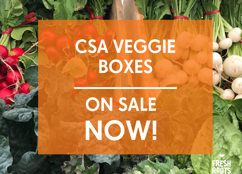 CSA Veggie Box Sales Are Now OPEN!!