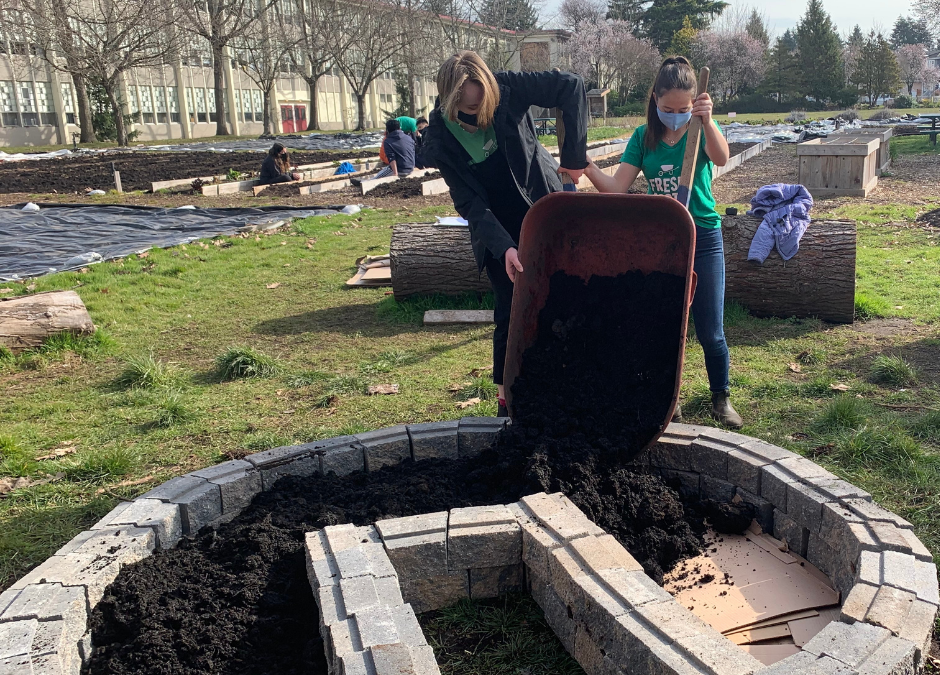 Tea Garden Build! – Experiential Learning Report