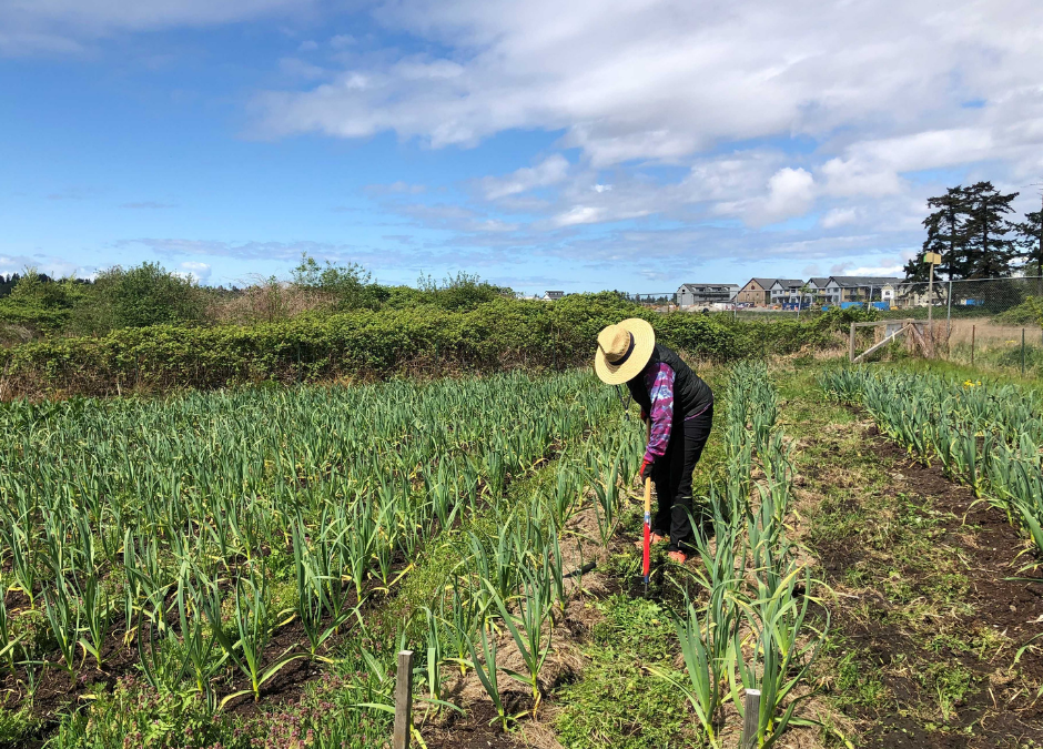 Community Comment: Delta continues to be a leader in farming, food education