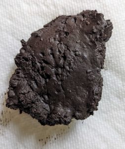 A pile of brown mud with a footprint like a bird's in the middle. The mud sits on top of a white paper towel.