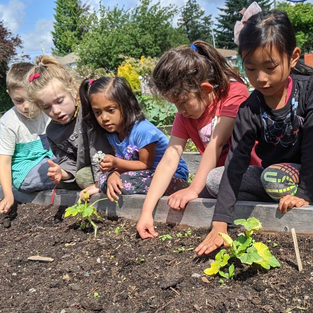 Young elementary students planting seeds on a sunny day