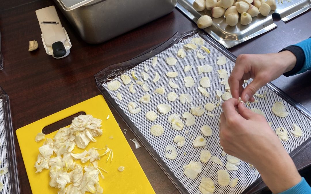 Behind-the-Scenes of the Garlic Fundraiser